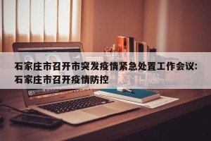 石家庄市召开市突发疫情紧急处置工作会议:石家庄市召开疫情防控