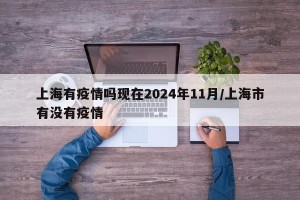 上海有疫情吗现在2024年11月/上海市有没有疫情