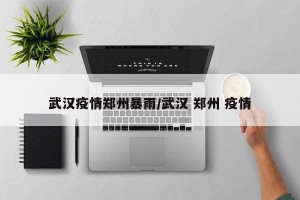 武汉疫情郑州暴雨/武汉 郑州 疫情