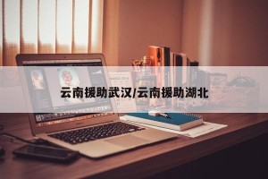 云南援助武汉/云南援助湖北