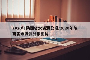 2020年陕西省水资源公报/2020年陕西省水资源公报图片